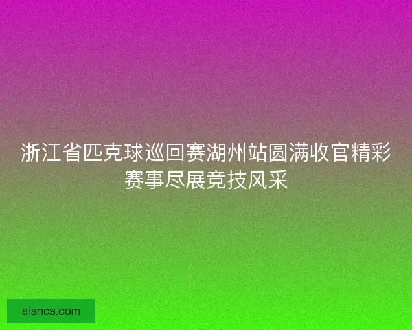 浙江省匹克球巡回赛湖州站圆满收官精彩赛事尽展竞技风采