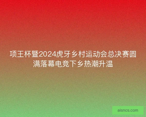 项王杯暨2024虎牙乡村运动会总决赛圆满落幕电竞下乡热潮升温